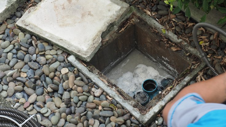 The Role of Bacteria in a Healthy Septic System